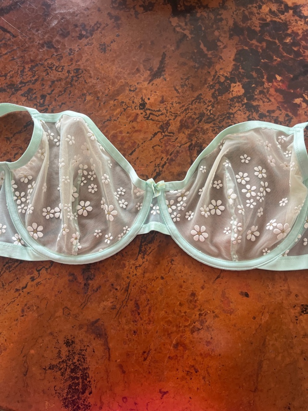 Savage x Fenty  Sheer Floral Embroidered Underwire Bra in Mint
